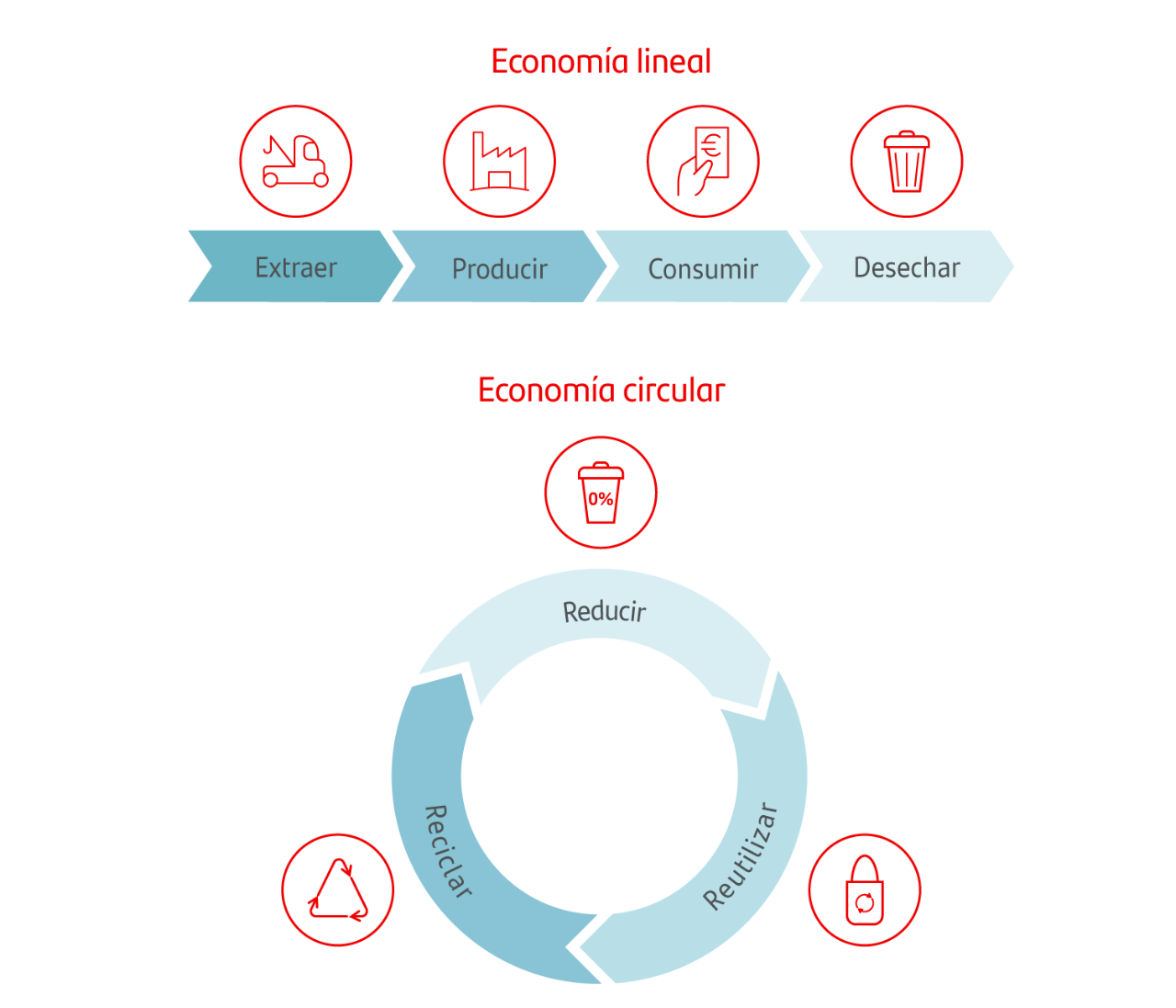 Economía lineal y circular: ¿a qué se refieren cada uno de estos términos y  cuáles son sus diferencias?
